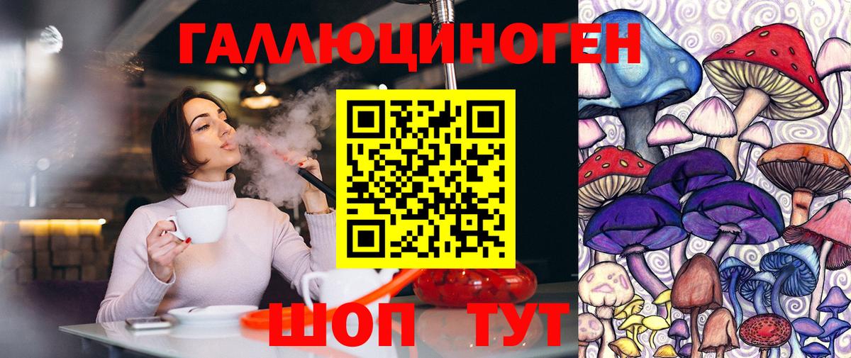 Псилоцибиновые грибы GOLDEN TEACHER Тихорецк